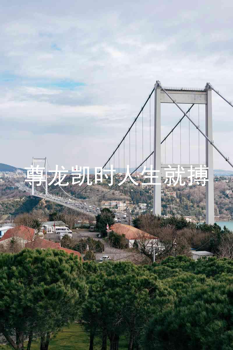 尊龙凯时人生就搏