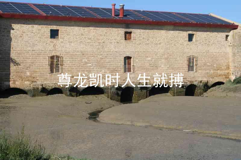 尊龙凯时人生就搏